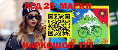 гашик Боровичи